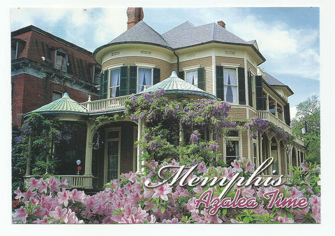Memphis Postcard Azalea Time
