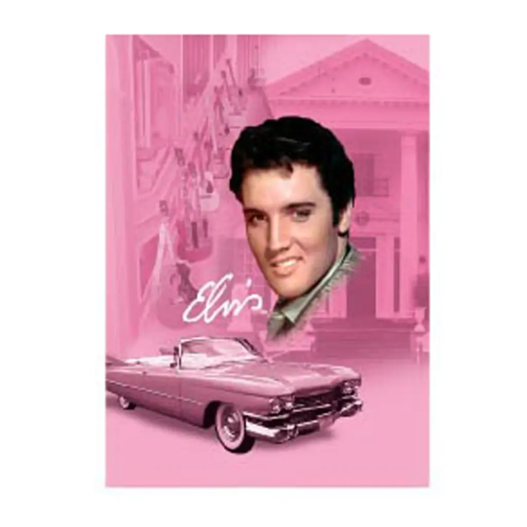 Elvis Magnet - Pink With Guitars