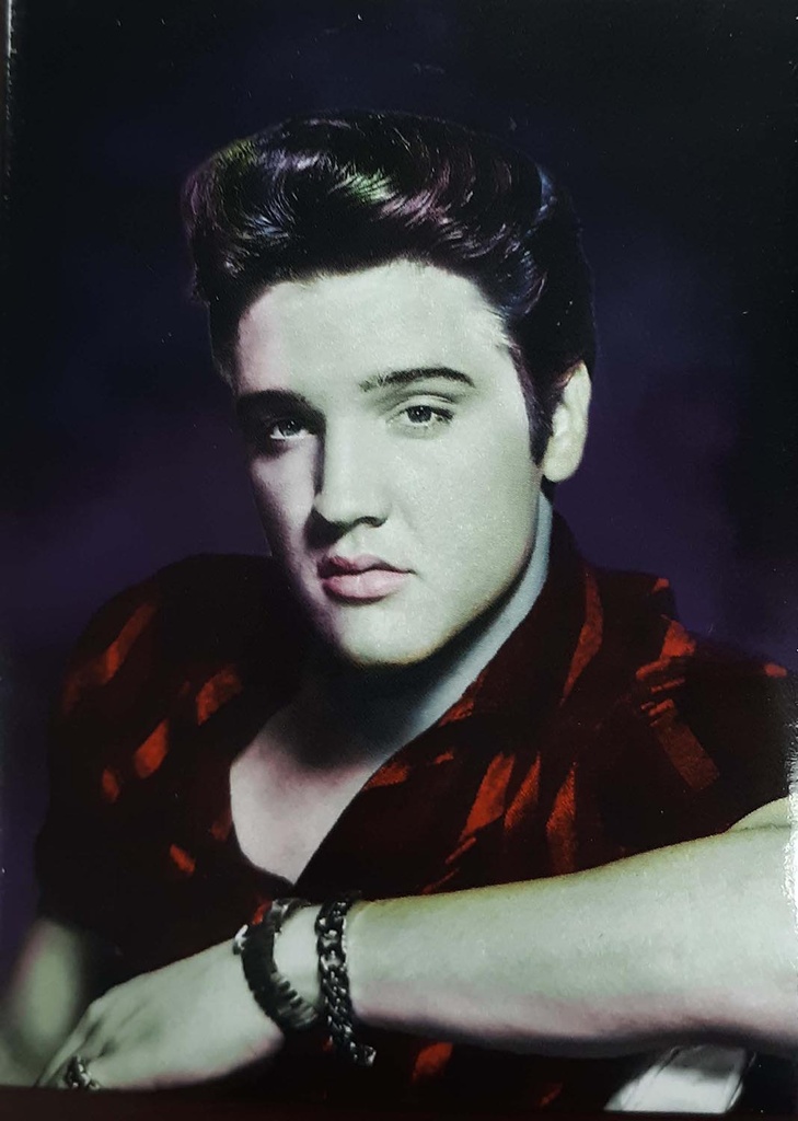 Elvis Magnet - Multi Color