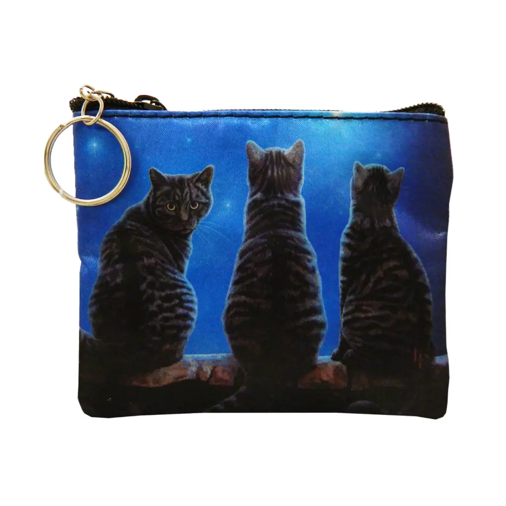 [P5723] Lisa Parker Art Keychain/Coin Purse - Wish Upon a Star