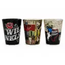 Willie Nelson Shot Glass Set - Map