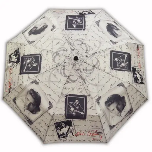 [E8676] Elvis Umbrella - Frames With Letter