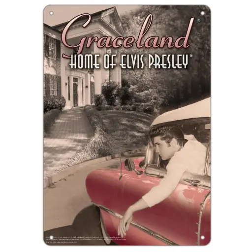 [E8684] Elvis Sign - In Car/ Graceland