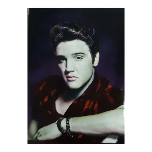 [E8932] Elvis Magnet - Multi Color