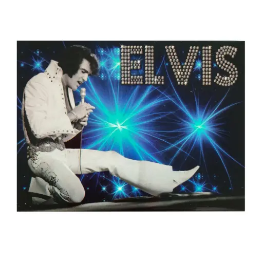 [E9016] Elvis Magnet - Blue On Stage