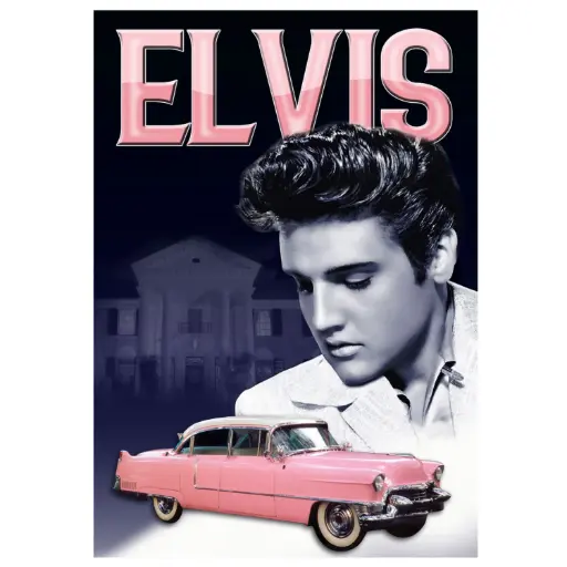 [EMSP8998] Elvis Postcards - Caddy - Pack of 50
