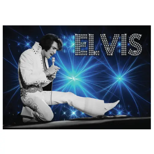 [EMSP9010] Elvis Postcards - On Stage - Pack of 50