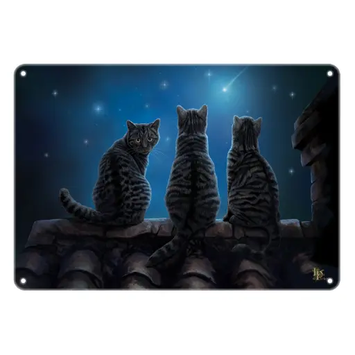 [P5701] Lisa Parker Art Sign - Wish Upon a Star